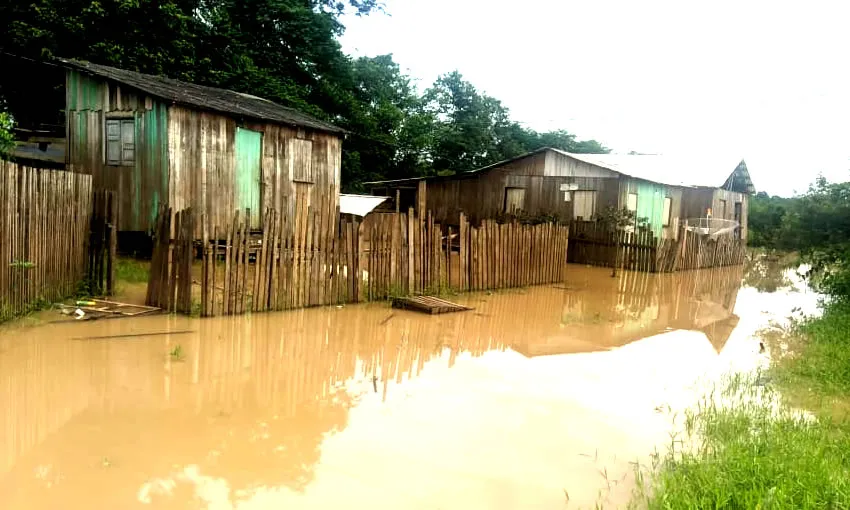 Rio Envira Volta a subir e já desabriga dezenas de famílias em Feijó