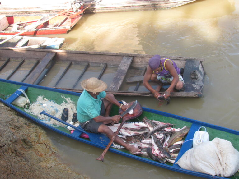 Auxílio a pescador atingido por seca em Feijó começa a ser pago hoje