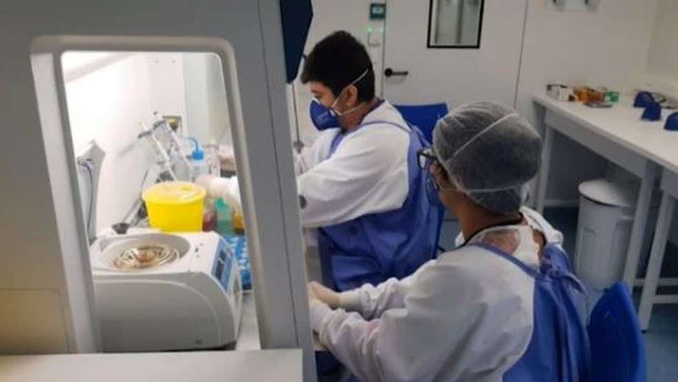 Dos 48 casos positivos de coronavírus no Acre, 26 estão curados