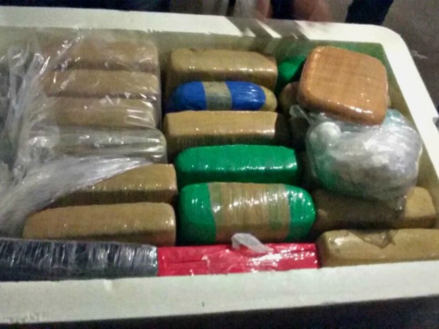 Polícia apreende 43 quilos de drogas em caixa de isopor dentro de ônibus