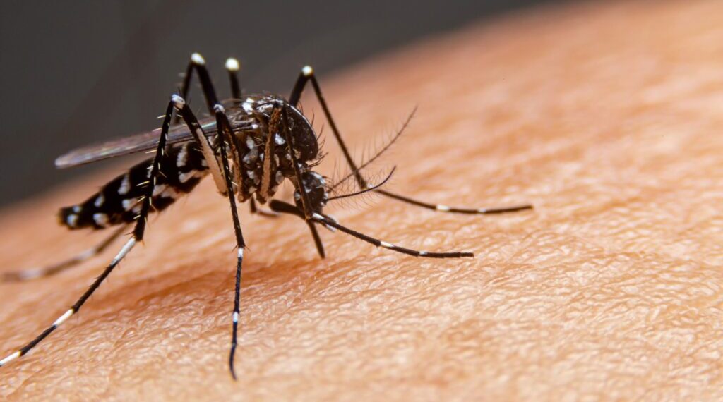 Governo do Acre decreta situação de emergência devido aumento alarmante nos casos de dengue