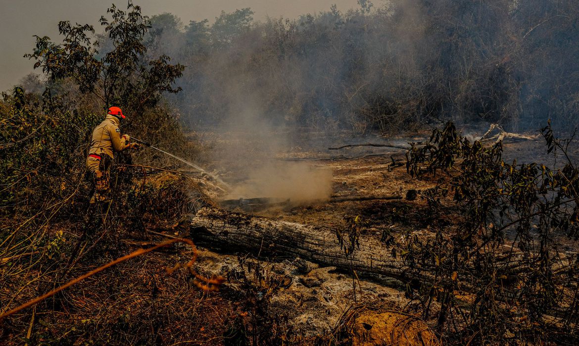 Governo publica decreto que suspende uso do fogo durante a seca