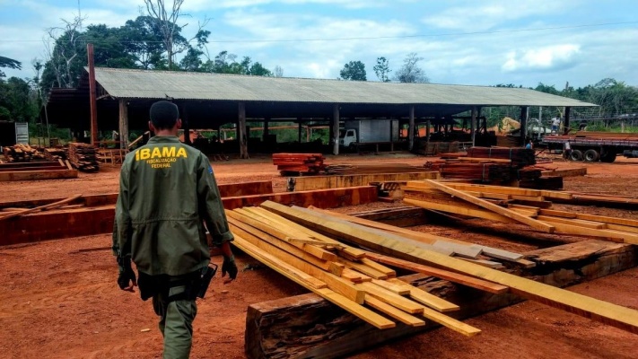 Ibama flexibiliza normas para multar serrarias que compram madeira ilegal