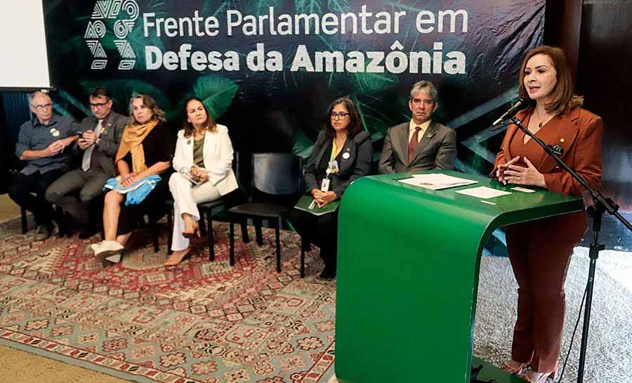Socorro Neri é vice-presidente da Comissão Mista em Defesa da Amazônia