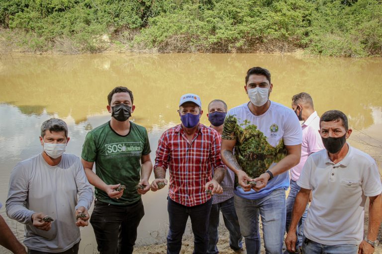 Soltura dos quelônios no Rio Abunã movimenta a programação do Mês do Meio Ambiente