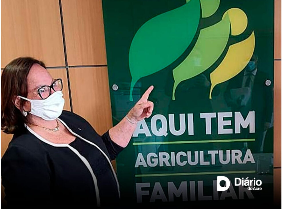 Vanda Milani vota a favor lei que garante aplicação de pesticidas para destruir agentes indesejáveis na agricultura