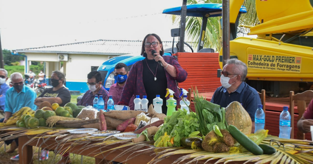 Vanda Milani participa da safra de feijão em Plácido de Castro
